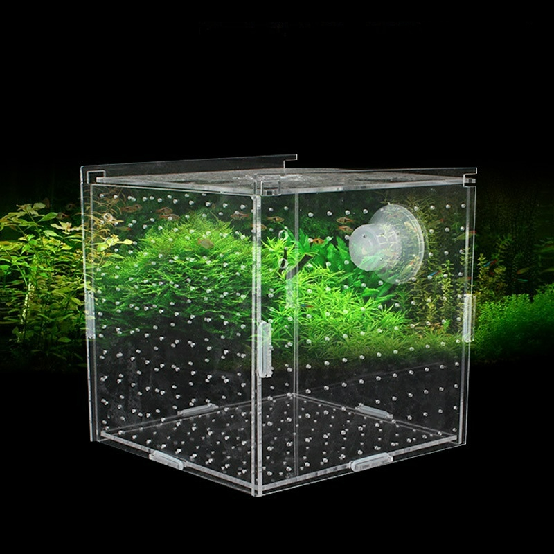 Aquarium Fish Net Small - Akrilik İzolasyon Kutusu Balık Tankı Şeffaf