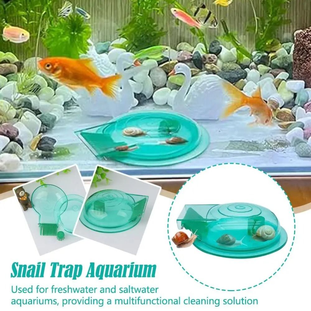 Aquarium Fish Escape - Tatlı su tuzlu su akvaryumu salyangoz
