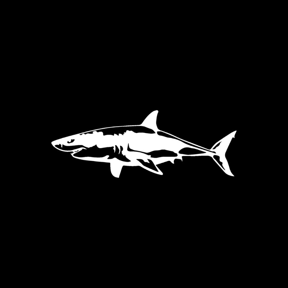 Otobüs için Jpct ilginç büyük  - Aquarium Fish Shark incelemesi ve fiyatı