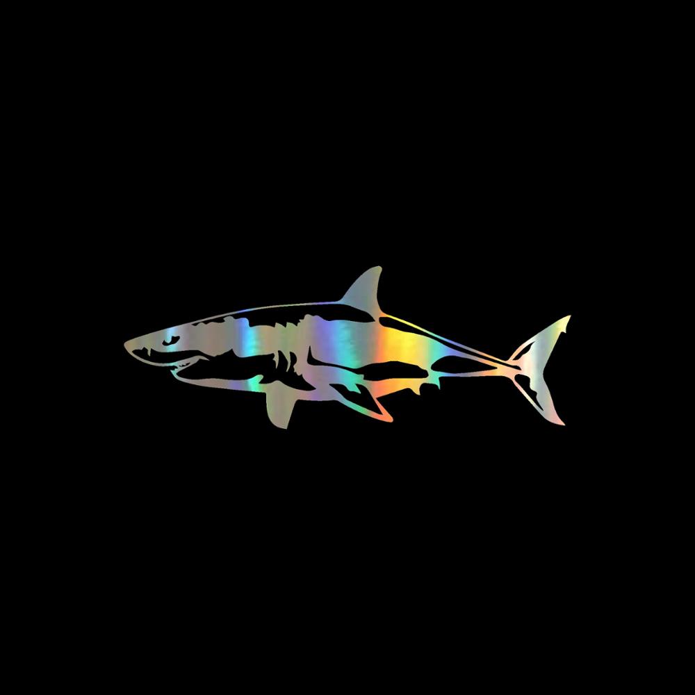 Otobüs için Jpct ilginç büyük  - Aquarium Fish Shark incelemesi ve fiyatı