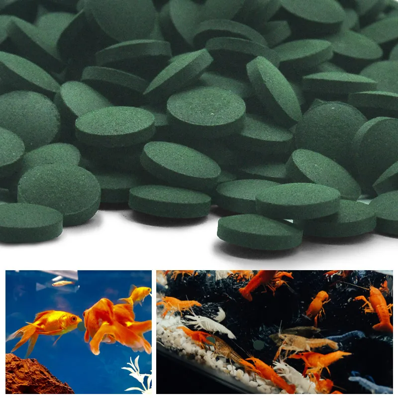 100 adet Yüksek Saflıkta Spiru - Aquarium Fish Vitamin incelemesi ve fiyatı