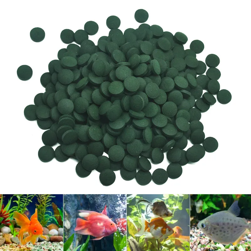 100 adet Yüksek Saflıkta Spiru - Aquarium Fish Vitamin incelemesi ve fiyatı