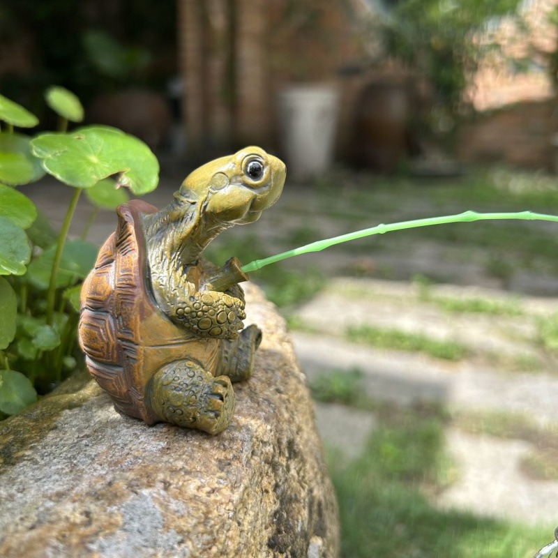 Kaplumbağa balık tutma akvaryu - Fish Aquarium Home incelemesi ve fiyatı