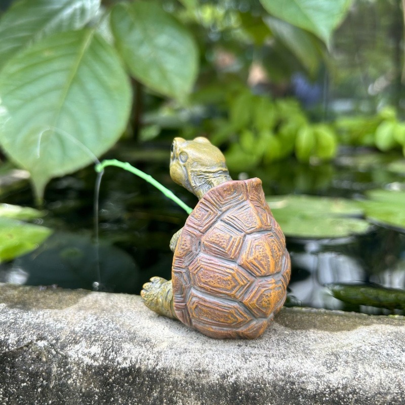 Kaplumbağa balık tutma akvaryu - Fish Aquarium Home incelemesi ve fiyatı