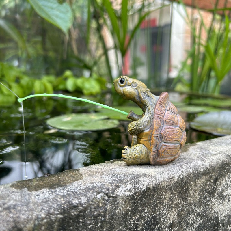 Kaplumbağa balık tutma akvaryu - Fish Aquarium Home incelemesi ve fiyatı
