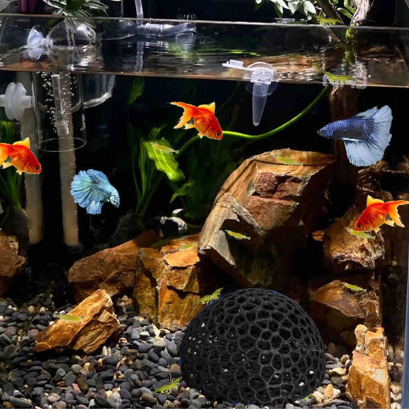 Balık Tankları Akvaryumlar içi - Aquarium Fish Beautiful incelemesi ve fiyatı