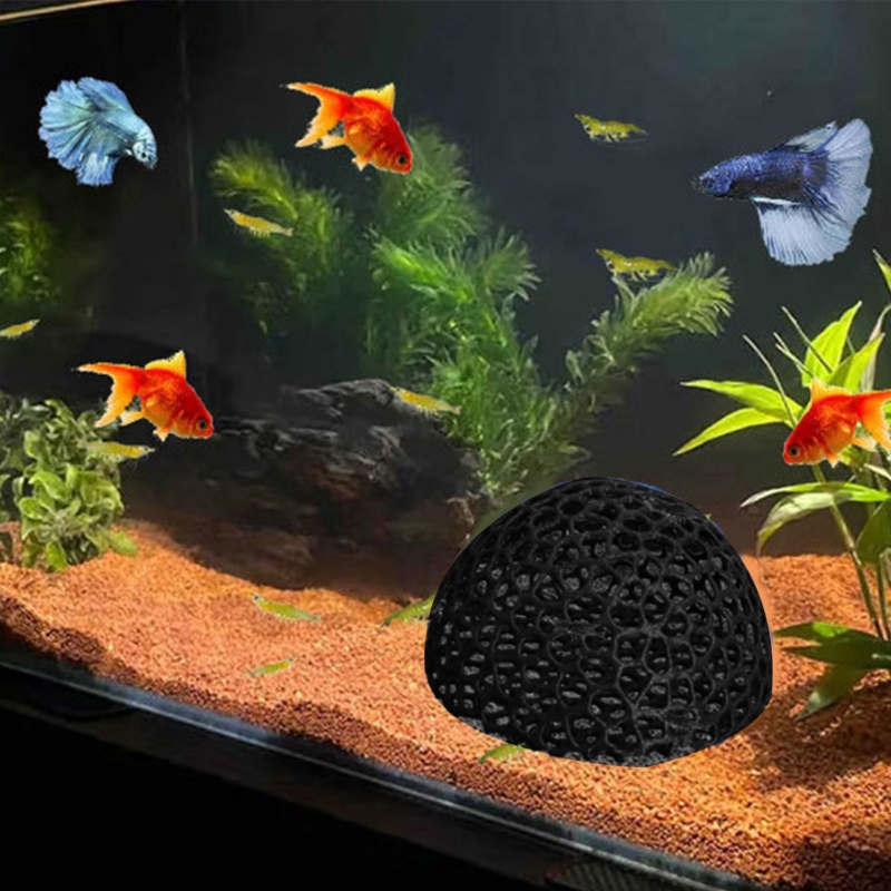 Balık Tankları Akvaryumlar içi - Aquarium Fish Beautiful incelemesi ve fiyatı