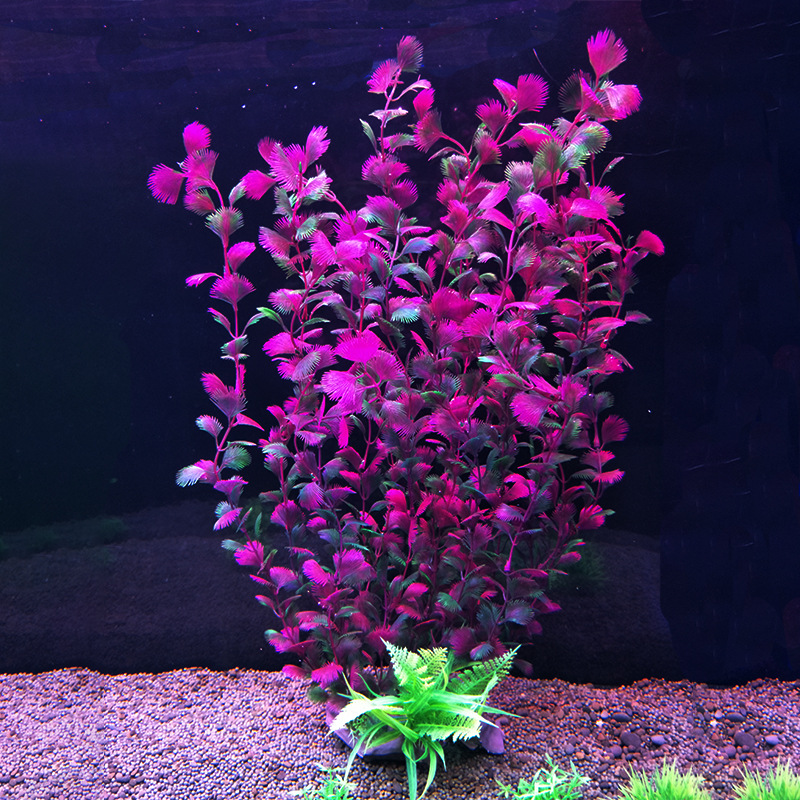 52 cm yapay balık tankı bitki  - Aquarium Fish Beautiful incelemesi ve fiyatı