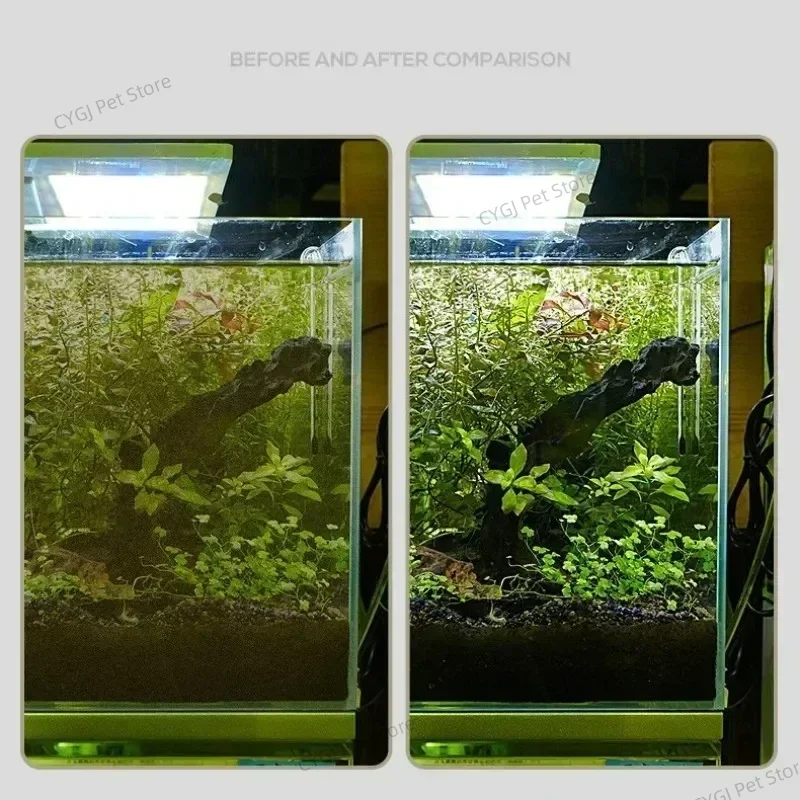 Balık Tankı Temizleme Aracı Dü - Aquarium Fish Waste Collector incelemesi ve fiyatı