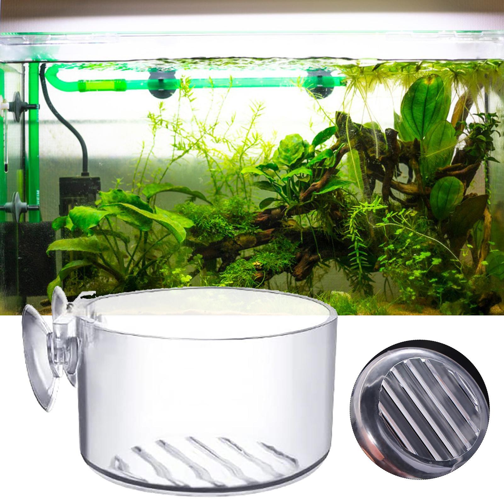 Akvaryum Dekorasyon Bitki Saks - Aquarium Fish Beautiful incelemesi ve fiyatı