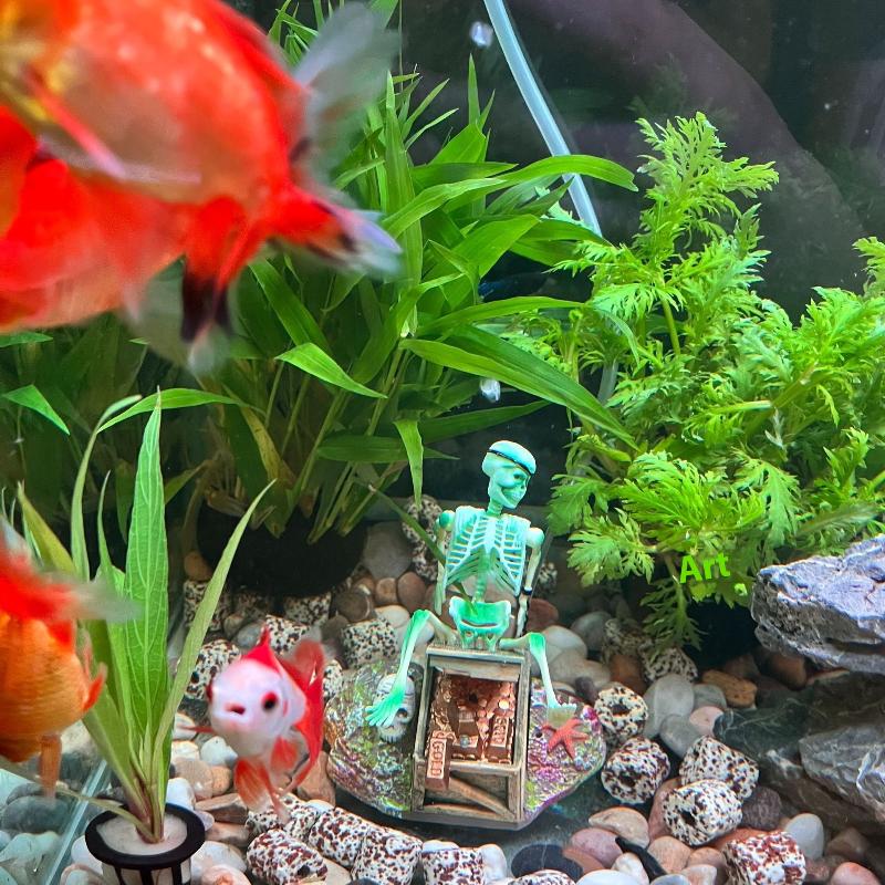 Balık Tankı Aerobik Peyzaj Kab - Aquarium Fish Tank Price incelemesi ve fiyatı