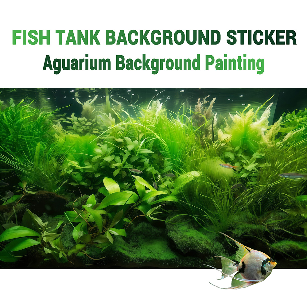 Su Çimenleri Cenneti, balık ta - Aquarium Fish Paradise incelemesi ve fiyatı