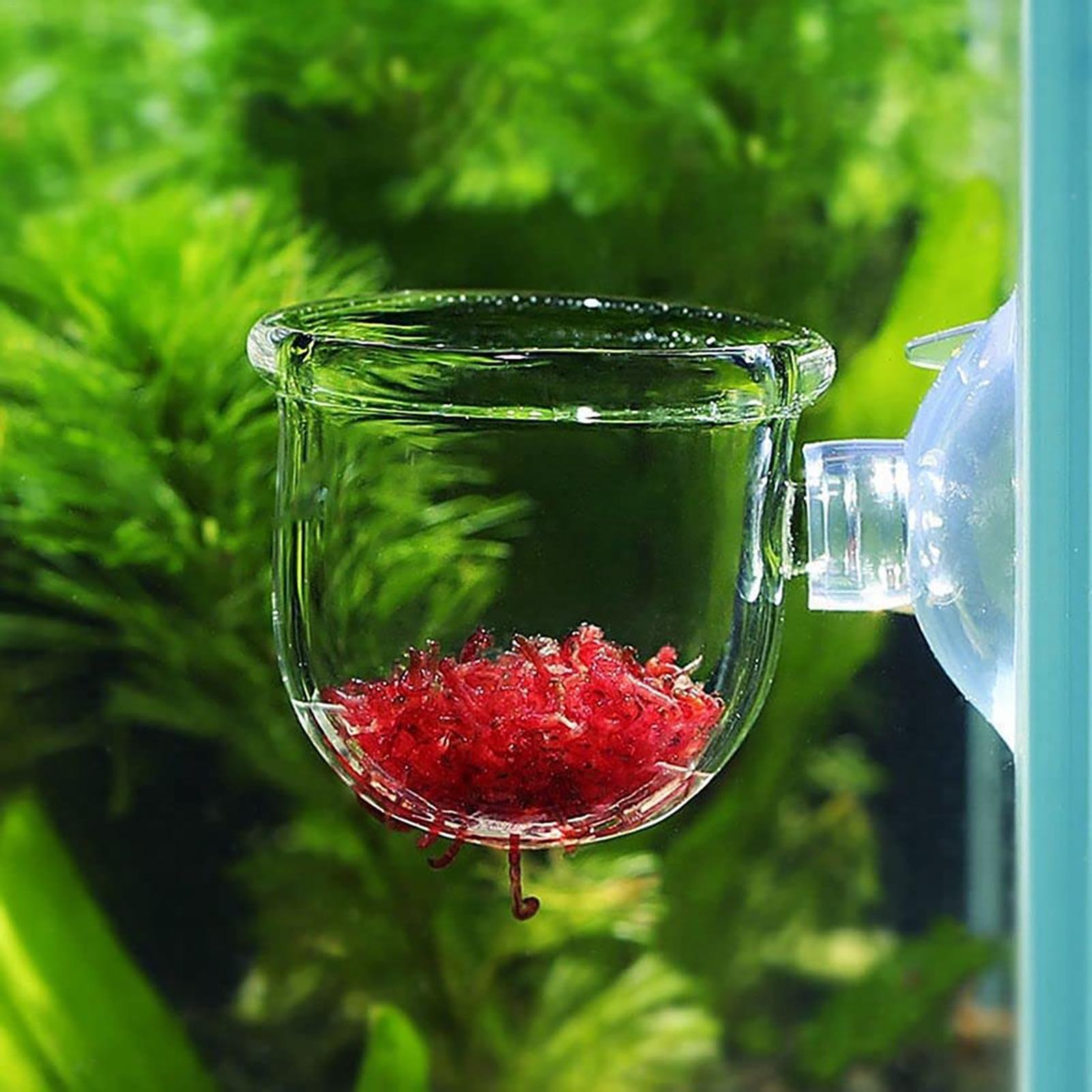 Su Bitkileri Bardakları Vakuml - Aquarium Fish Beautiful incelemesi ve fiyatı
