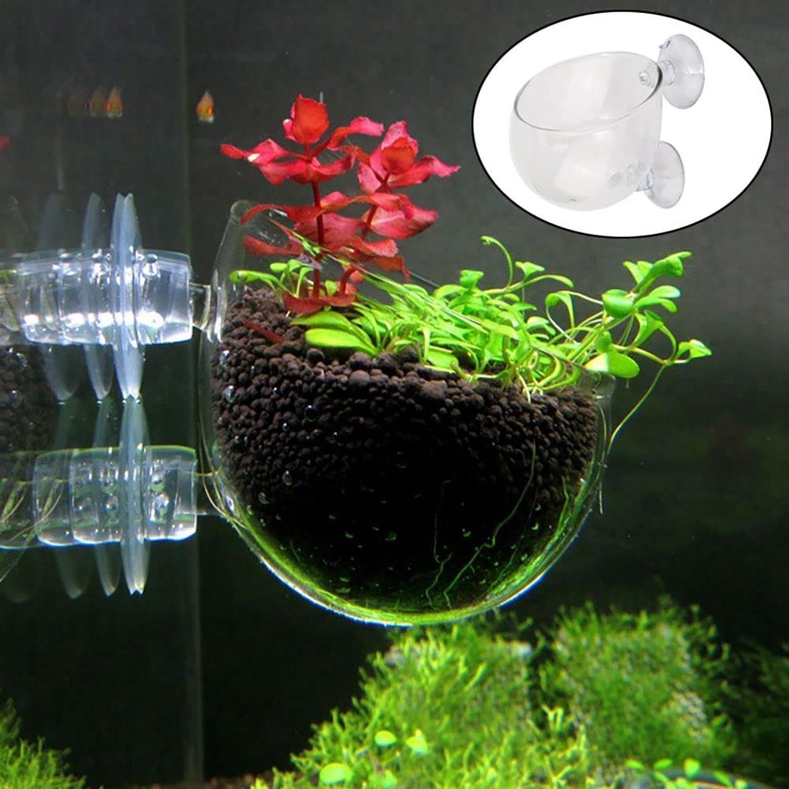 Su Bitkileri Bardakları Vakuml - Aquarium Fish Beautiful incelemesi ve fiyatı