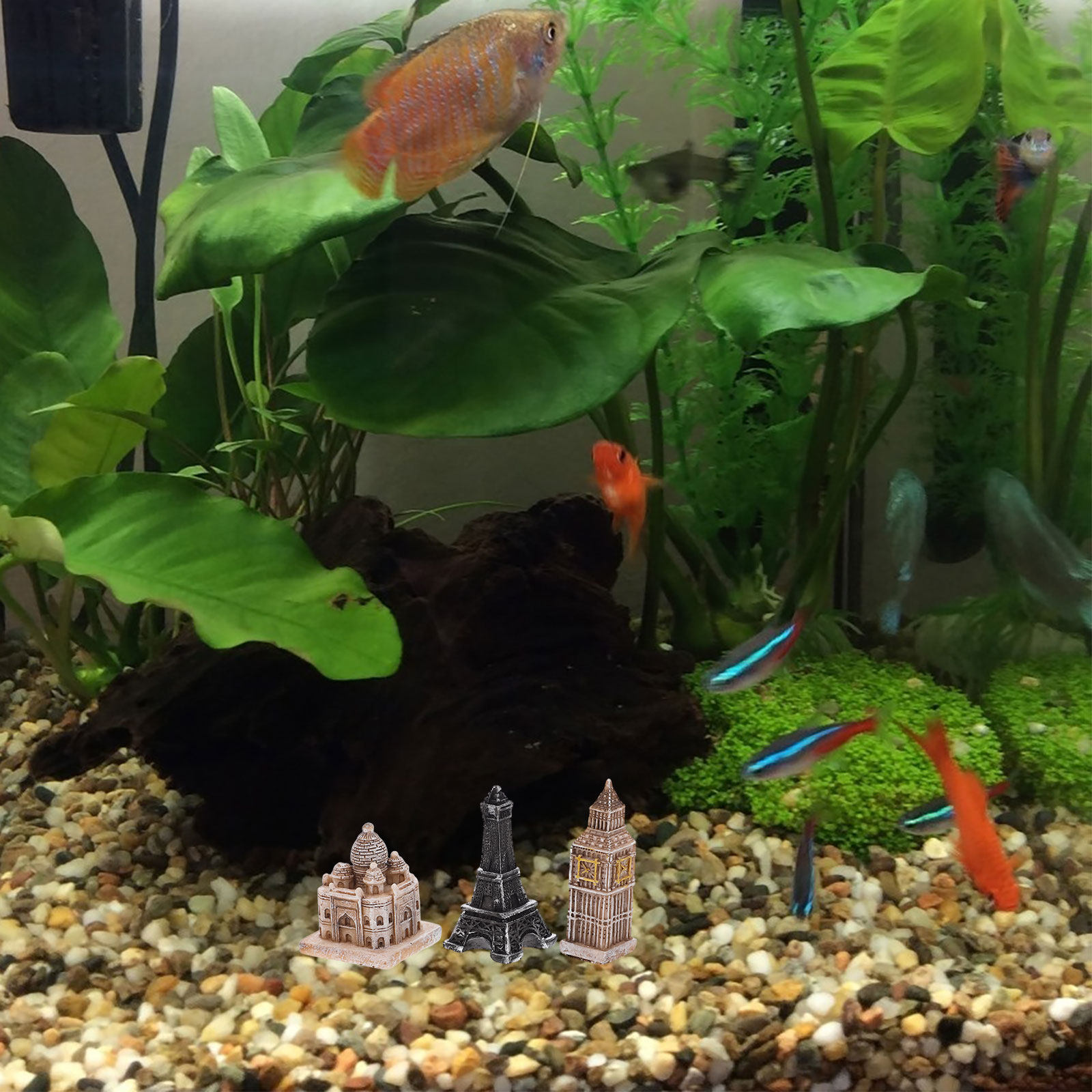 7 adet minyatür roma heykeller - Aquarium Fish In incelemesi ve fiyatı