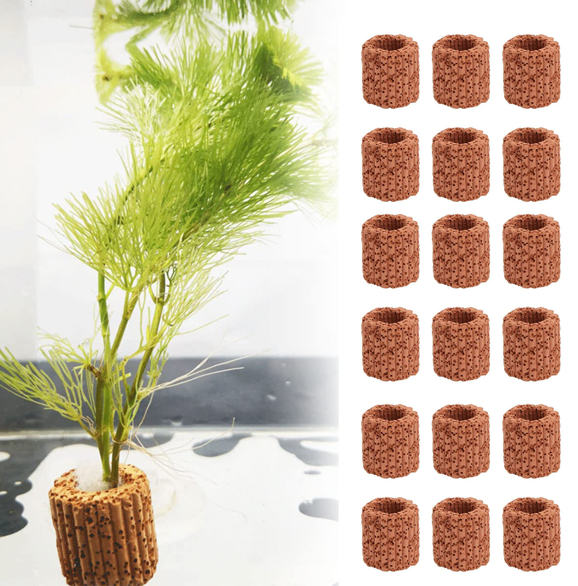 10/20 adet sucul su tesisi sab - Aquarium Fish Tank Price incelemesi ve fiyatı