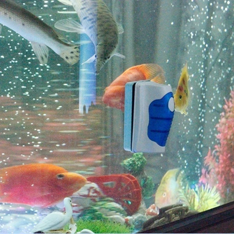 Balık tankı cam kazıyıcı temiz - Aquarium Fish Escape incelemesi ve fiyatı