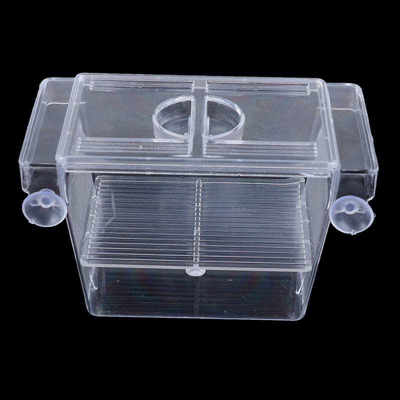 Akvaryum Balık Tankı Lepistes  - Aquarium Fish Escape incelemesi ve fiyatı