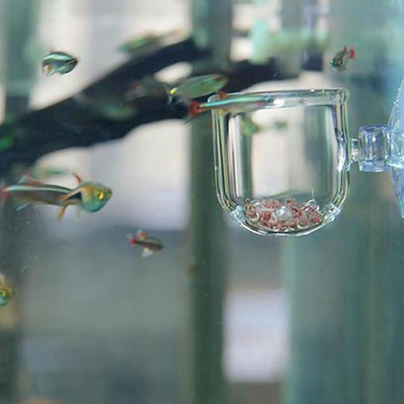 Akrilik Akvaryum Bitki Saksıla - Aquarium Fish Beautiful incelemesi ve fiyatı