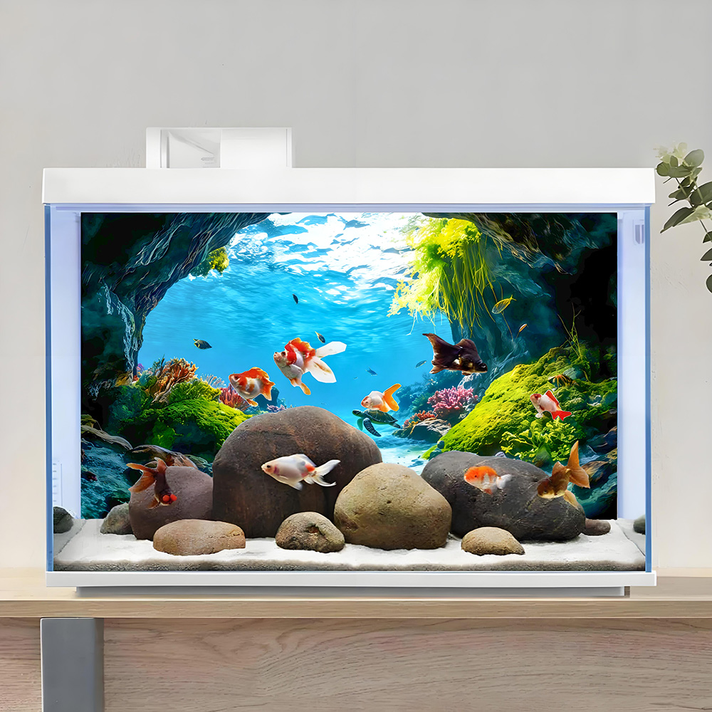 Kaplumbağa Mağarası Cenneti, B - Aquarium Fish Paradise incelemesi ve fiyatı