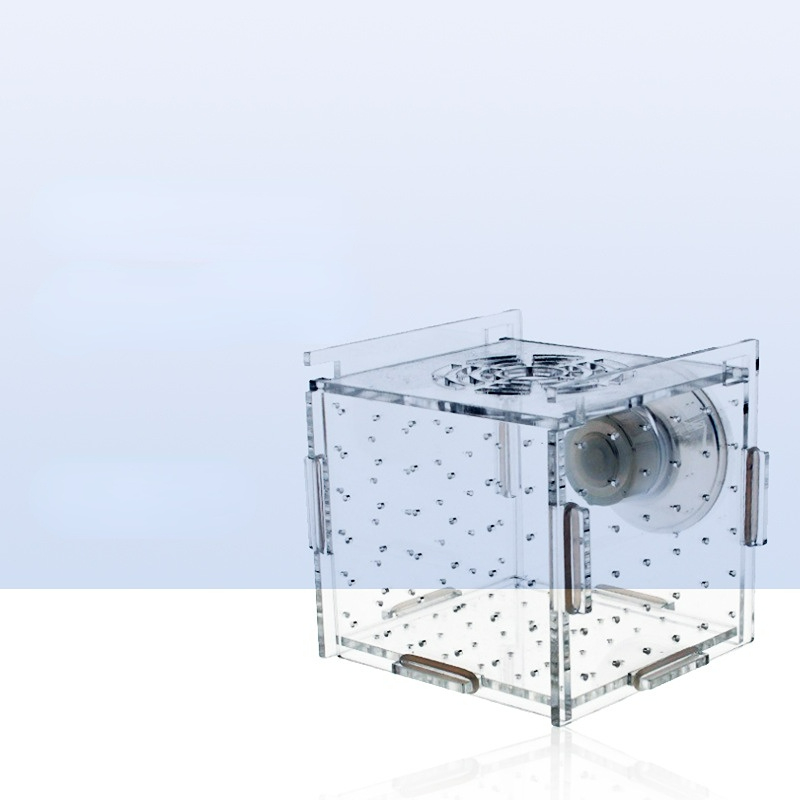 Akrilik İzolasyon Kutusu Balık - Aquarium Fish Net Small incelemesi ve fiyatı