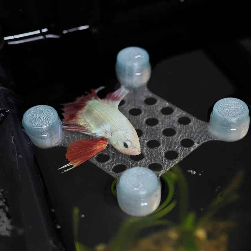 Betta Balığı Dinlenme Yatağı V - Aquarium Fish Escape incelemesi ve fiyatı
