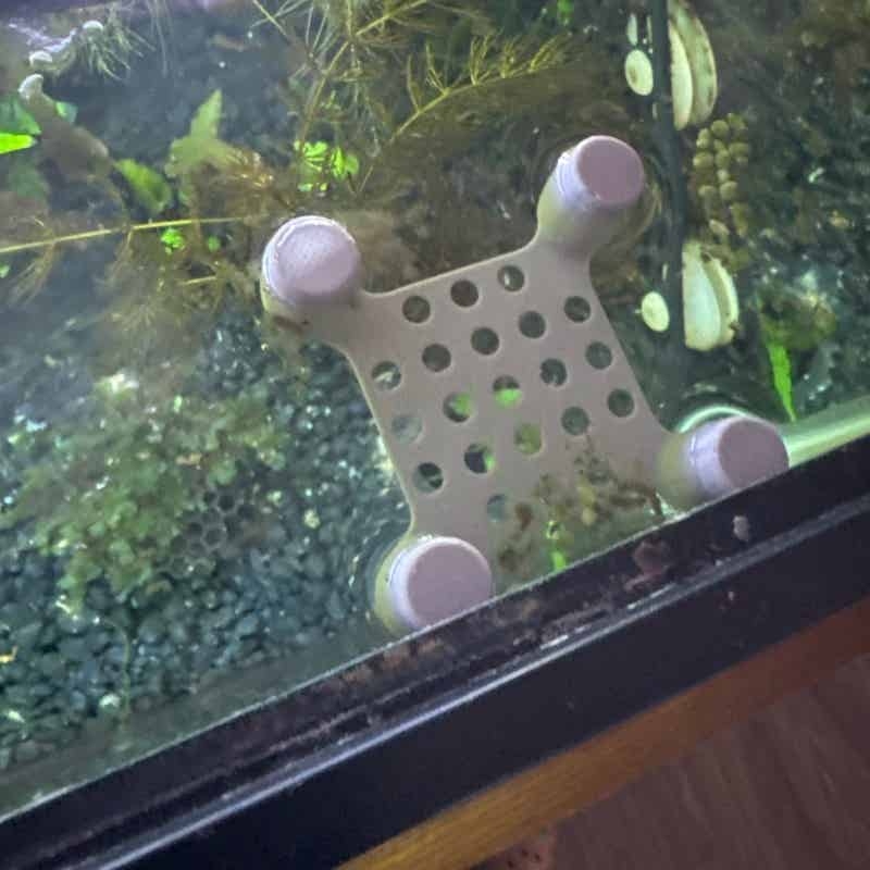 Betta Balığı Dinlenme Yatağı V - Aquarium Fish Escape incelemesi ve fiyatı