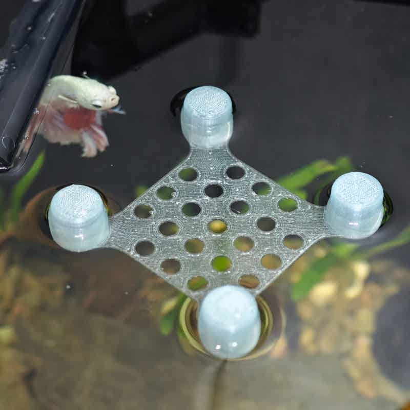 Betta Balığı Dinlenme Yatağı V - Aquarium Fish Escape incelemesi ve fiyatı