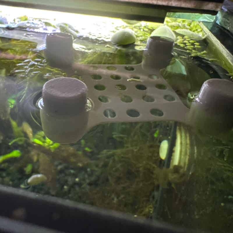 Betta Balığı Dinlenme Yatağı V - Aquarium Fish Escape incelemesi ve fiyatı