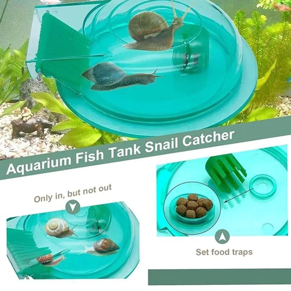 Tatlı su tuzlu su akvaryumu sa - Aquarium Fish Escape incelemesi ve fiyatı
