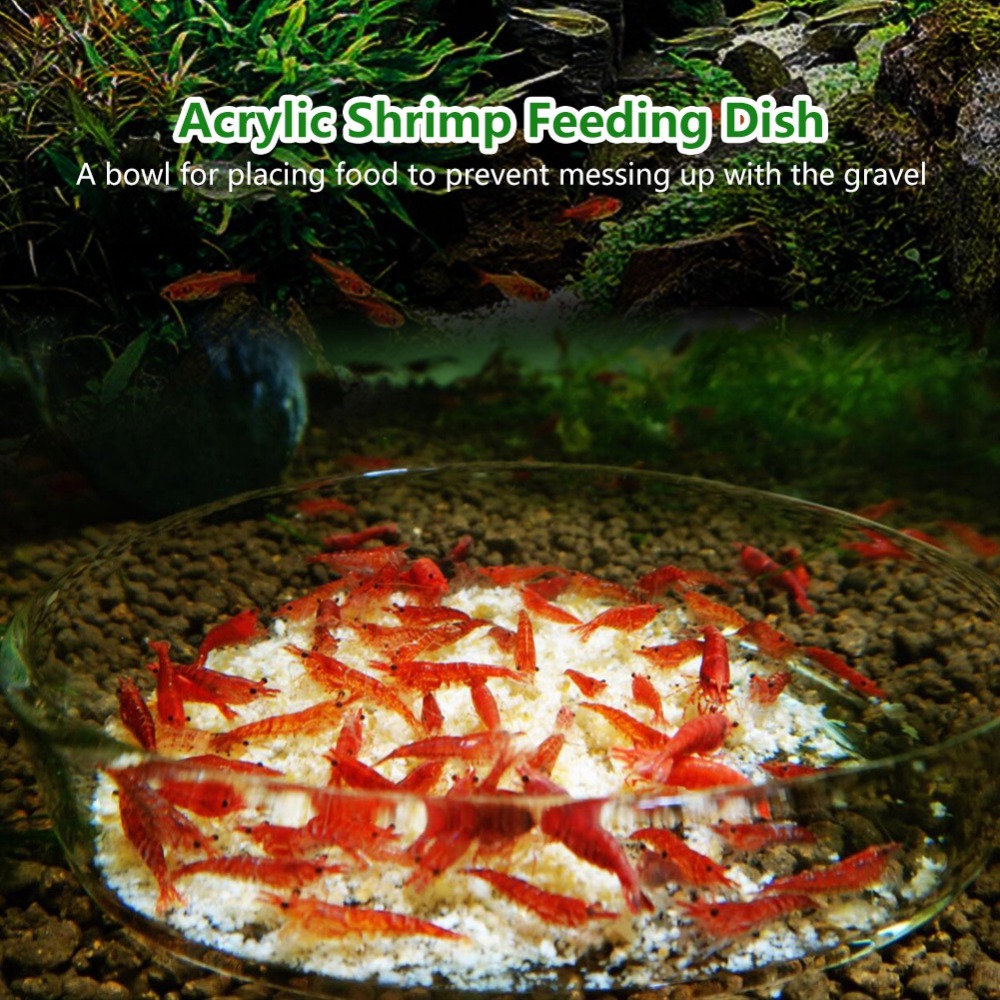 Akrilik Karides Besleme Tabağı - Aquarium Fish Beautiful incelemesi ve fiyatı