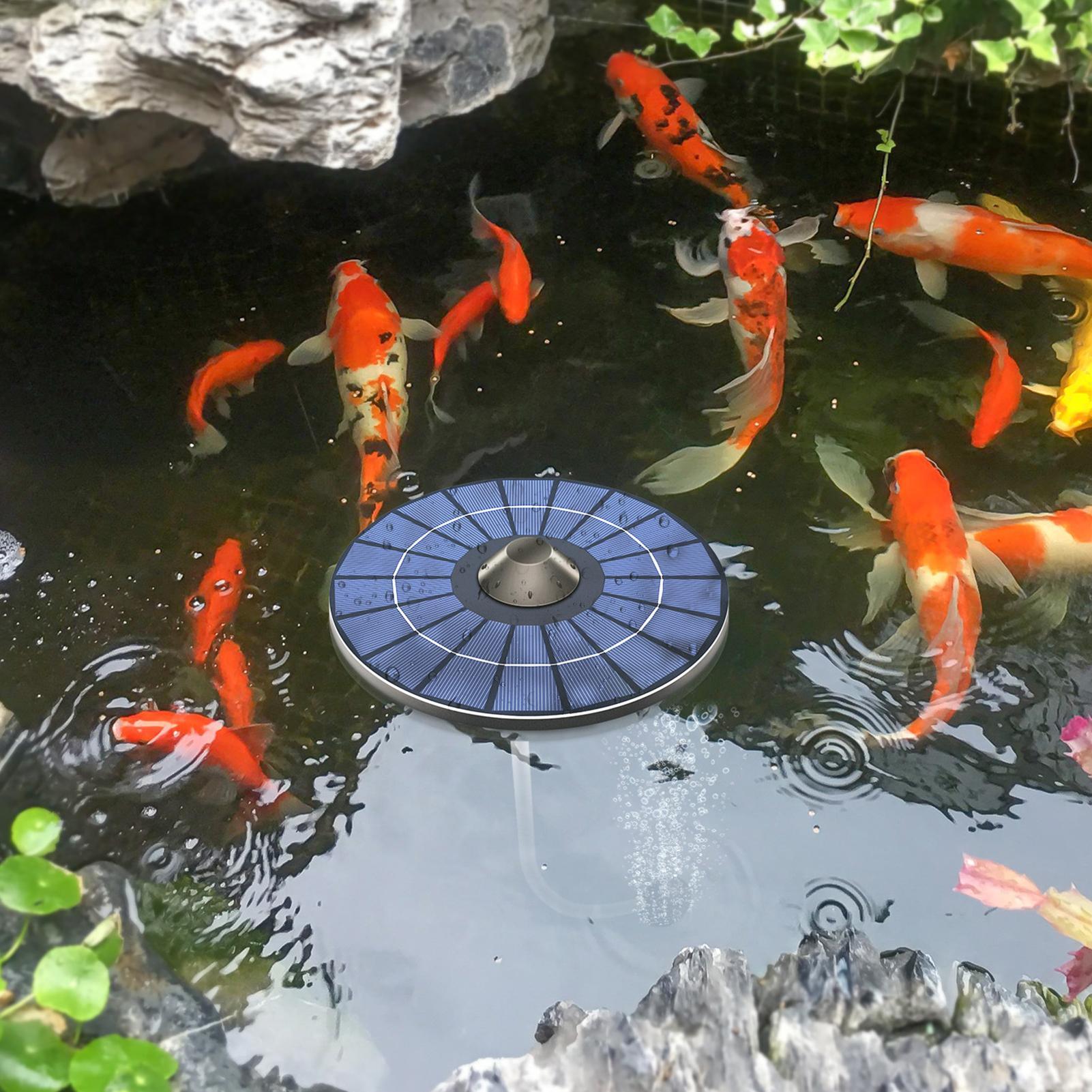 Güneş enerjili havuz havalandı - Aquarium Fish Escape incelemesi ve fiyatı
