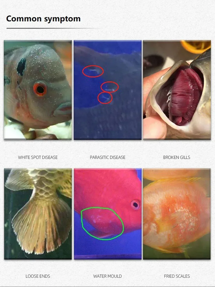 1/2 şişe metilen mavi solüsyon - Aquarium Fish Vitamin incelemesi ve fiyatı