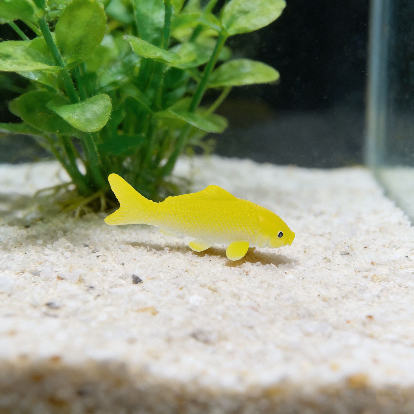 3 adet Balık El Sanatları Oyun - Fish Aquarium Home incelemesi ve fiyatı