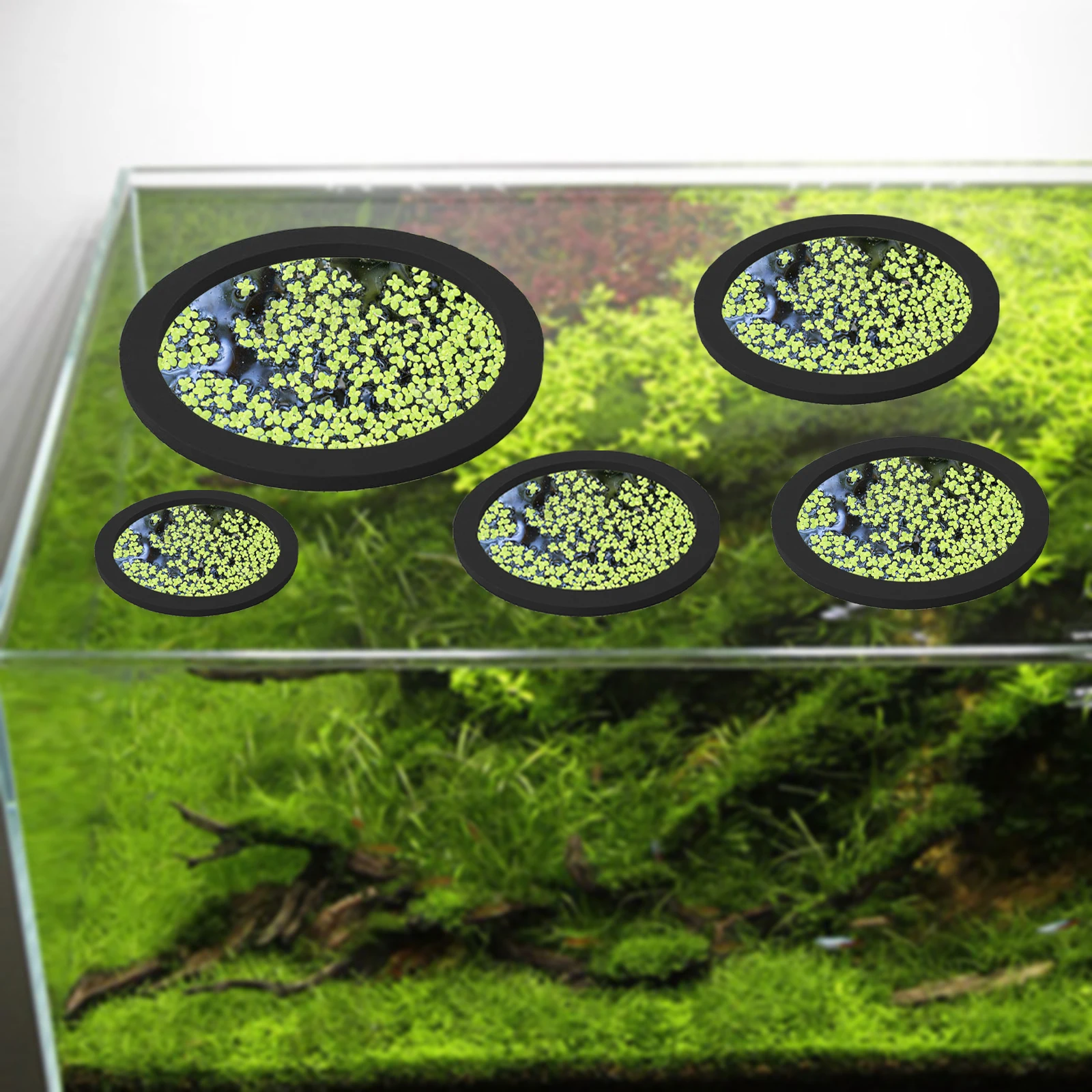 5 adet EVA balık besleme halka - Aquarium Fish Escape incelemesi ve fiyatı