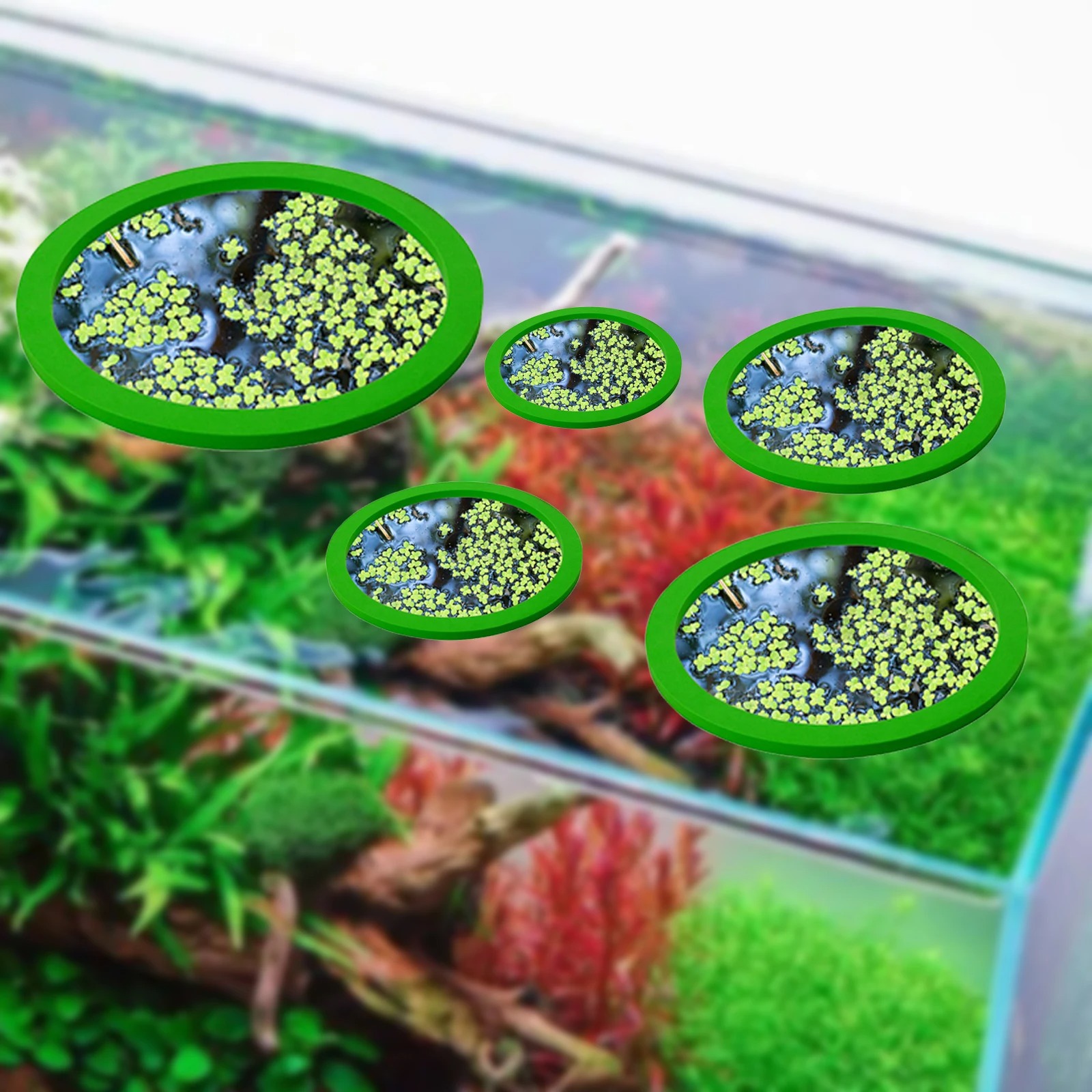 5 adet EVA balık besleme halka - Aquarium Fish Escape incelemesi ve fiyatı