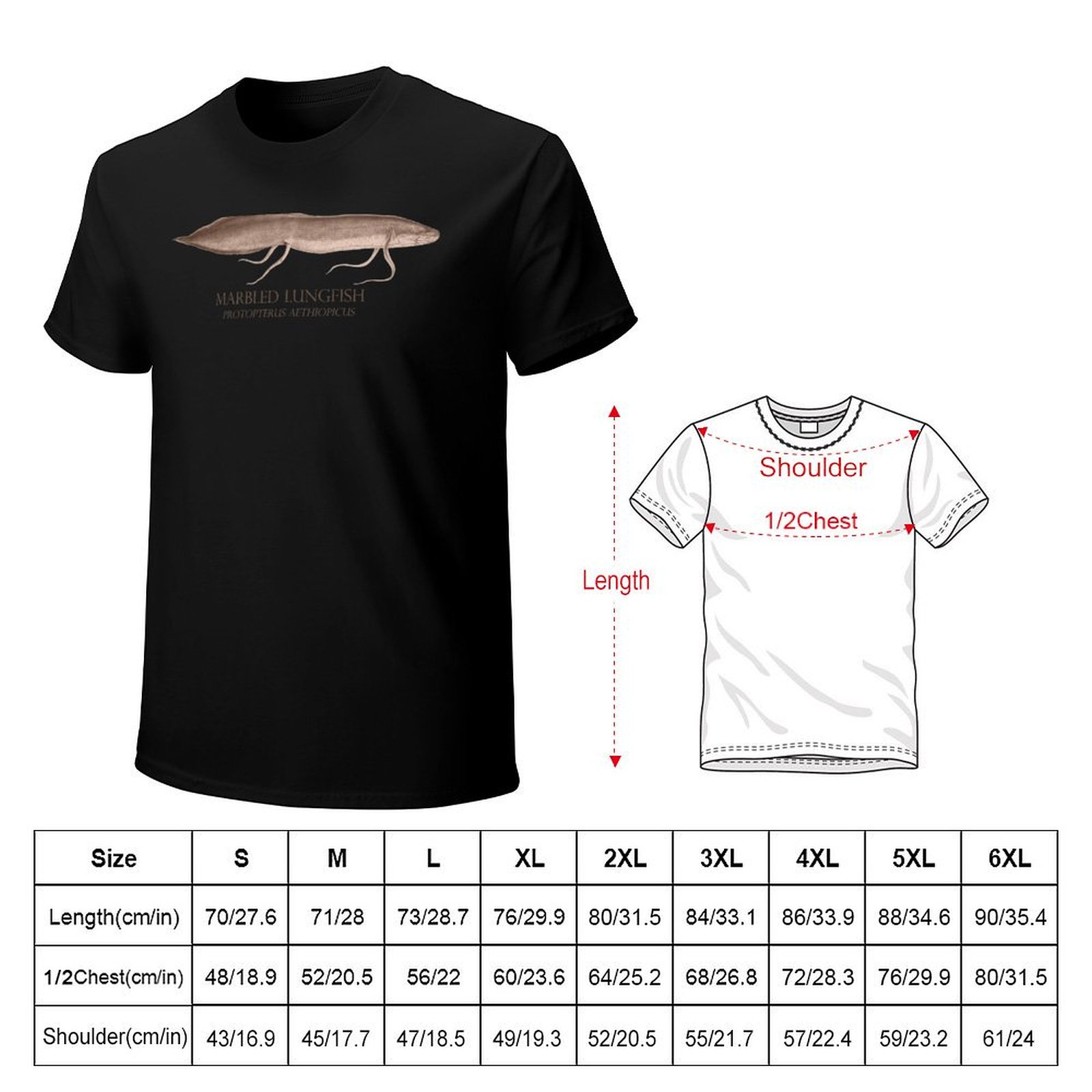 Lungfish Protopterus Akvaryum  - Aquarium Fish Monster incelemesi ve fiyatı