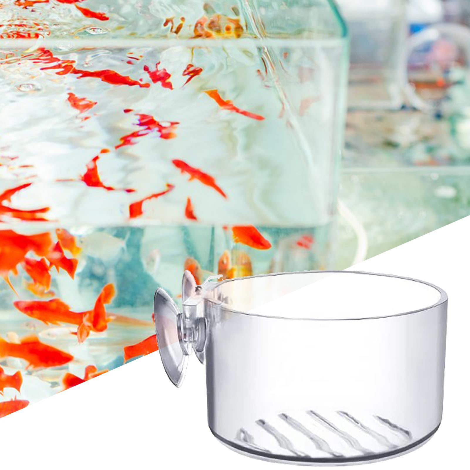 Vakumlu Akvaryum Bitki Tutucu  - Aquarium Fish Beautiful incelemesi ve fiyatı