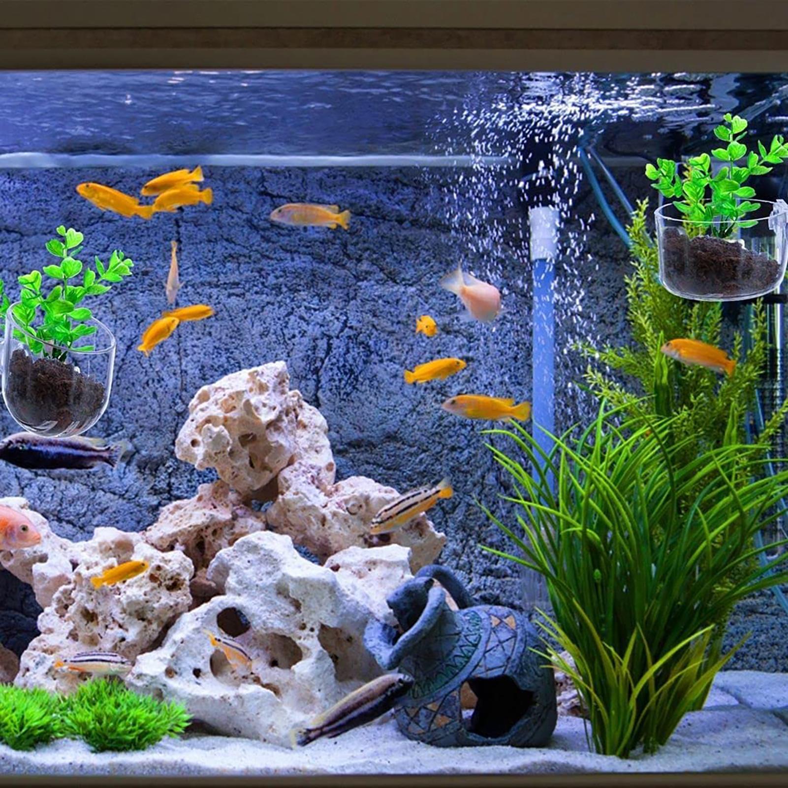 Balık Tankı için Bitki Tutucu  - Aquarium Fish Beautiful incelemesi ve fiyatı