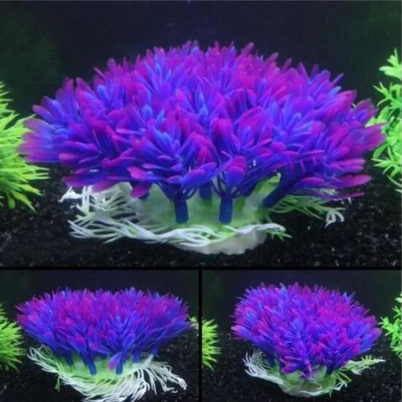 Yapay Geniş Kısa Balık Tankı A - Aquarium Fish Beautiful incelemesi ve fiyatı