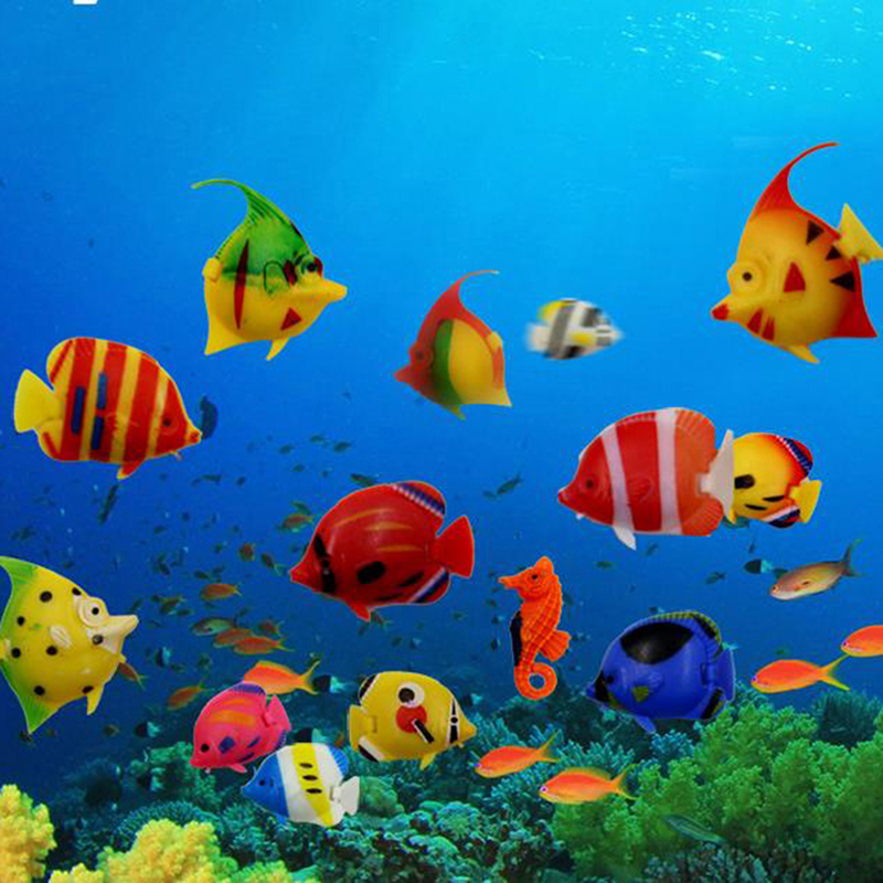【D】10 adet Akvaryum Balık Tank - Aquarium Fish Escape incelemesi ve fiyatı