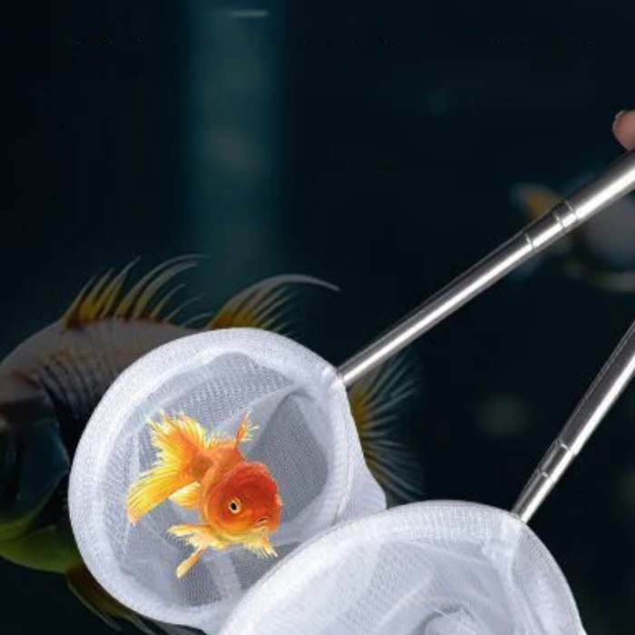 Akvaryum balık balık ağı pasla - Aquarium Fish Net Small incelemesi ve fiyatı