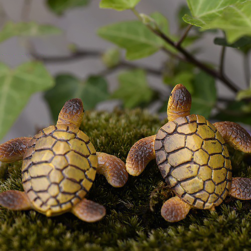 1 adet Mini deniz kaplumbağası - Aquarium Fish Tank Price incelemesi ve fiyatı