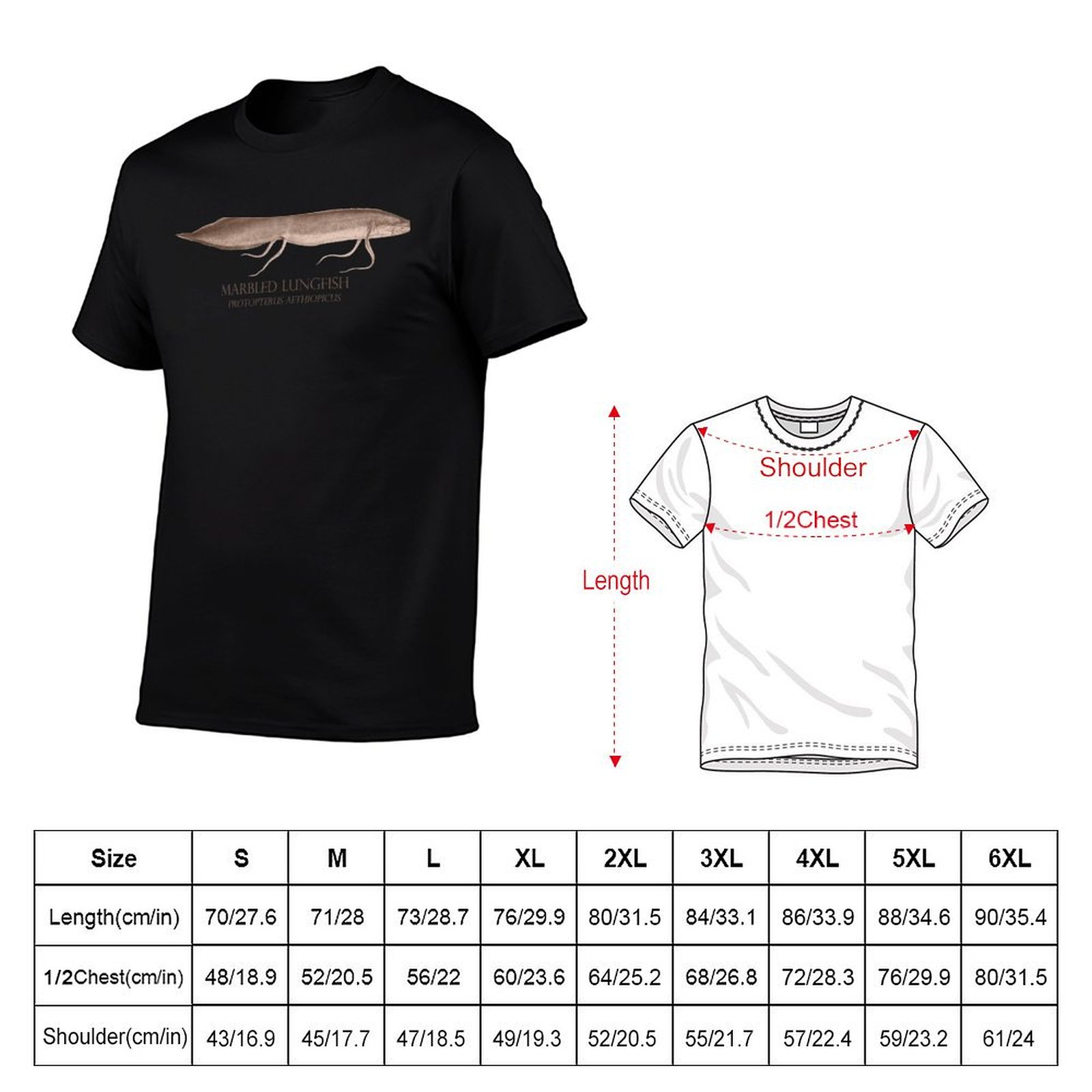 Lungfish Protopterus Akvaryum  - Aquarium Fish Monster incelemesi ve fiyatı