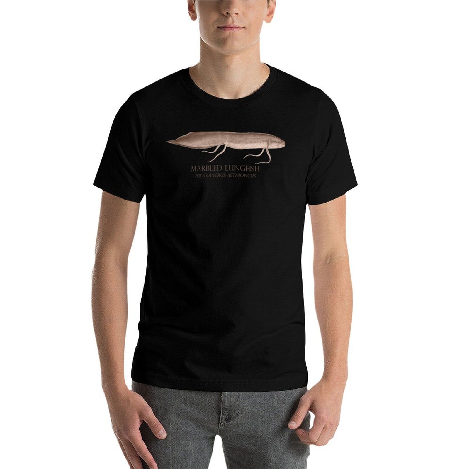 Lungfish Protopterus Akvaryum  - Aquarium Fish Monster incelemesi ve fiyatı