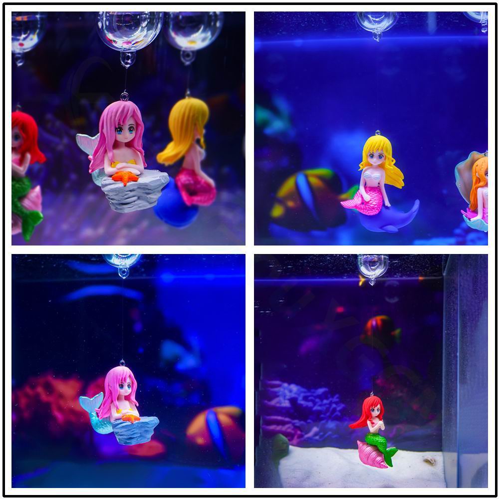 Güzel Denizkızı Akvaryum Süspa - Aquarium Fish Beautiful incelemesi ve fiyatı