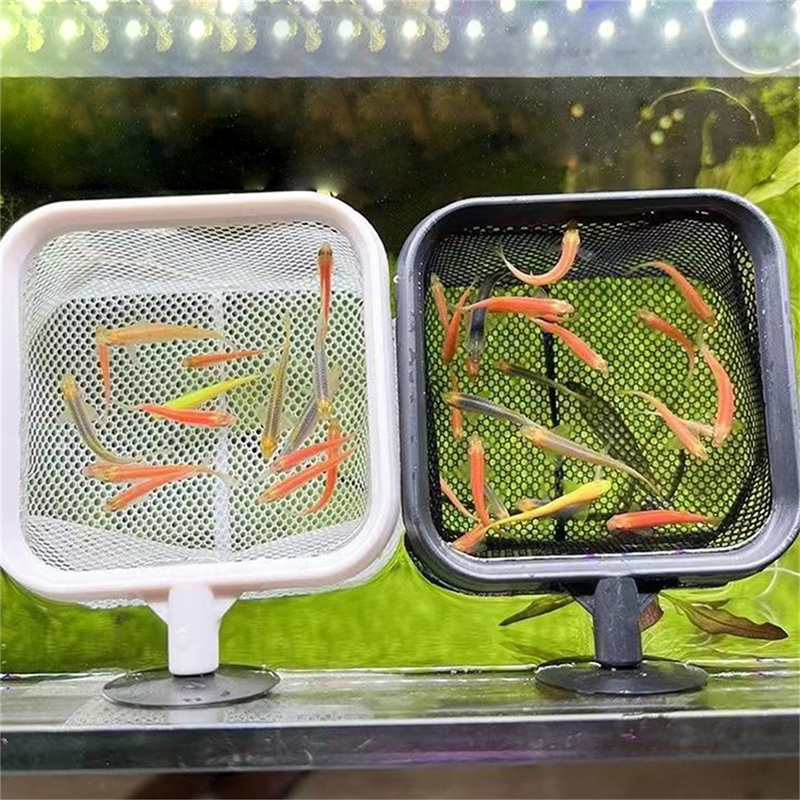 AquariumFish Balık Ağı Paslanm - Aquarium Fish Net Small incelemesi ve fiyatı