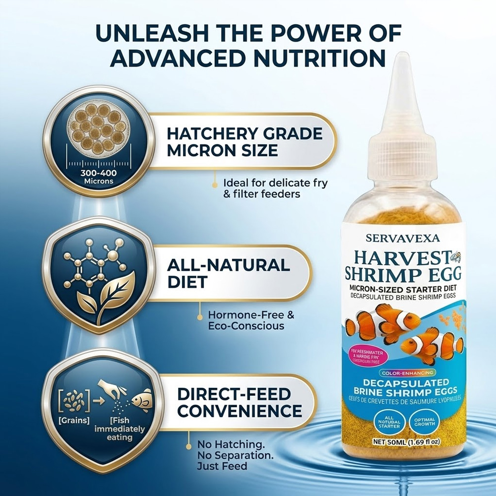 Yüksek Proteinli Balık Yemi, B - Aquarium Fish Vitamin incelemesi ve fiyatı