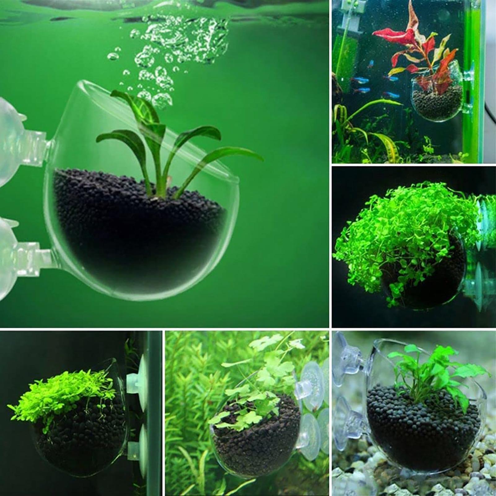 Akvaryum Dekorasyon Bitki Saks - Aquarium Fish Beautiful incelemesi ve fiyatı