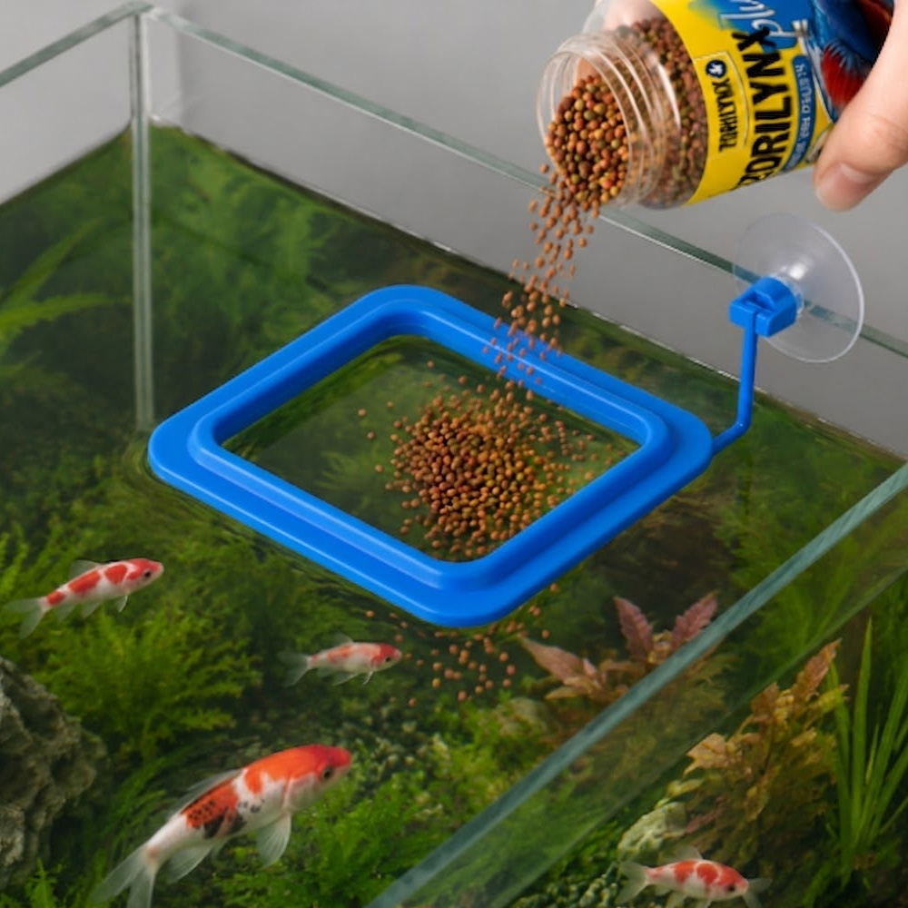 Betta Japon Balığı Tropikal Ba - Aquarium Fish Vitamin incelemesi ve fiyatı